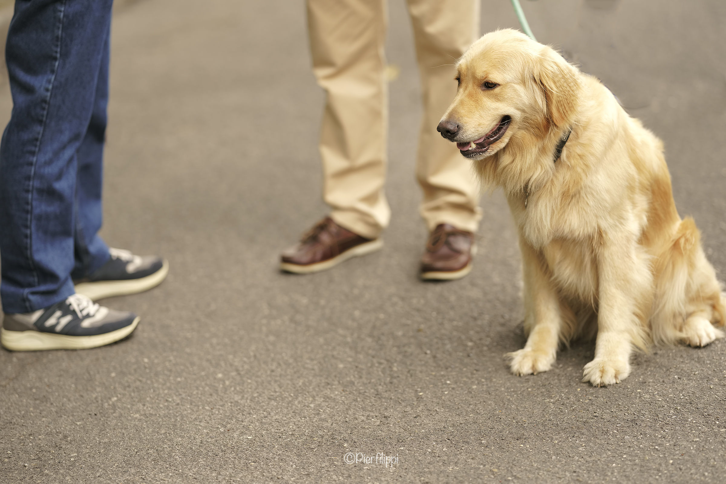 We're three,.. Mo where you go..