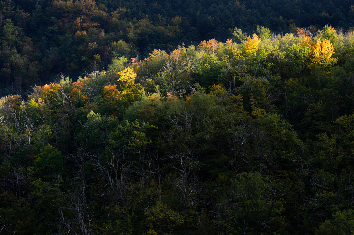 ultimo raggio di sole