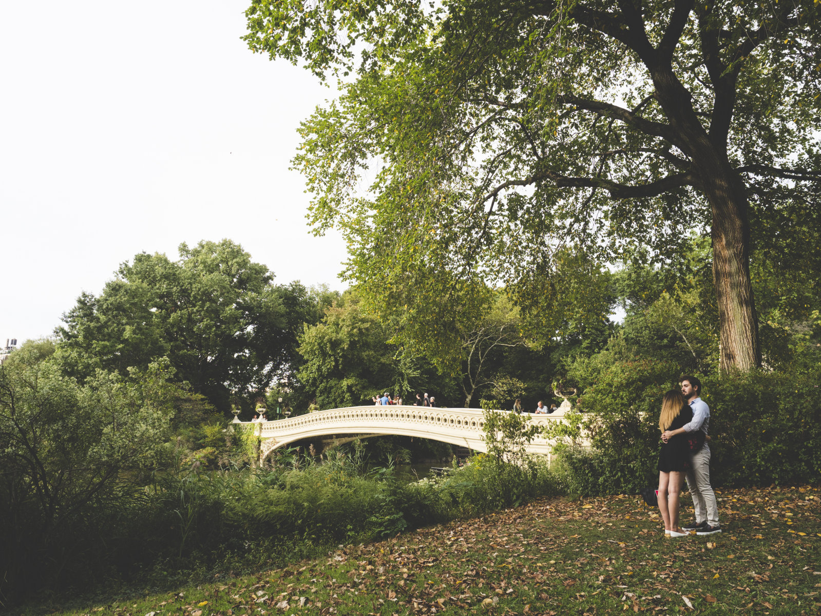 Hug at Bow Bridge, Central Park