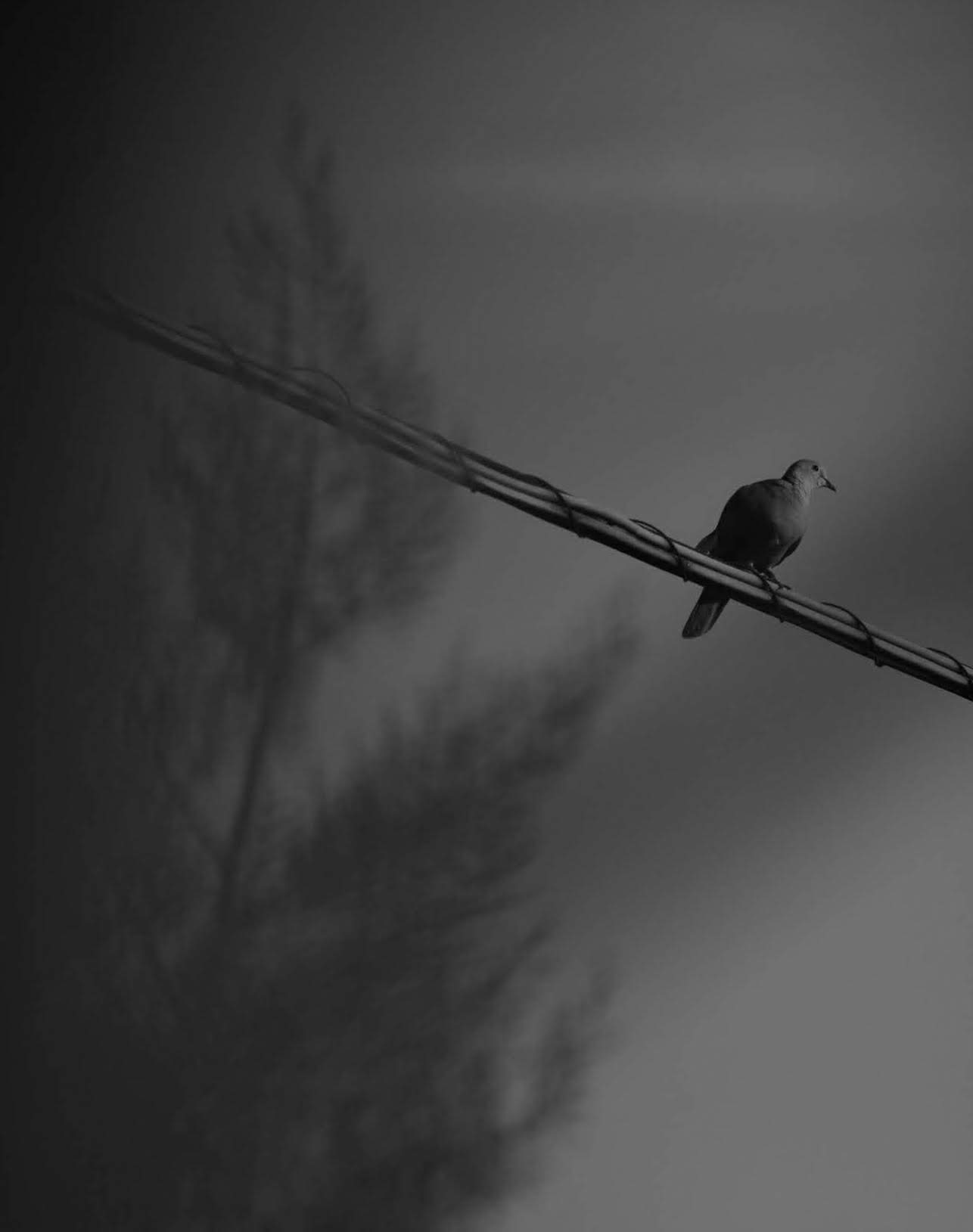 La quiete dopo la tempesta