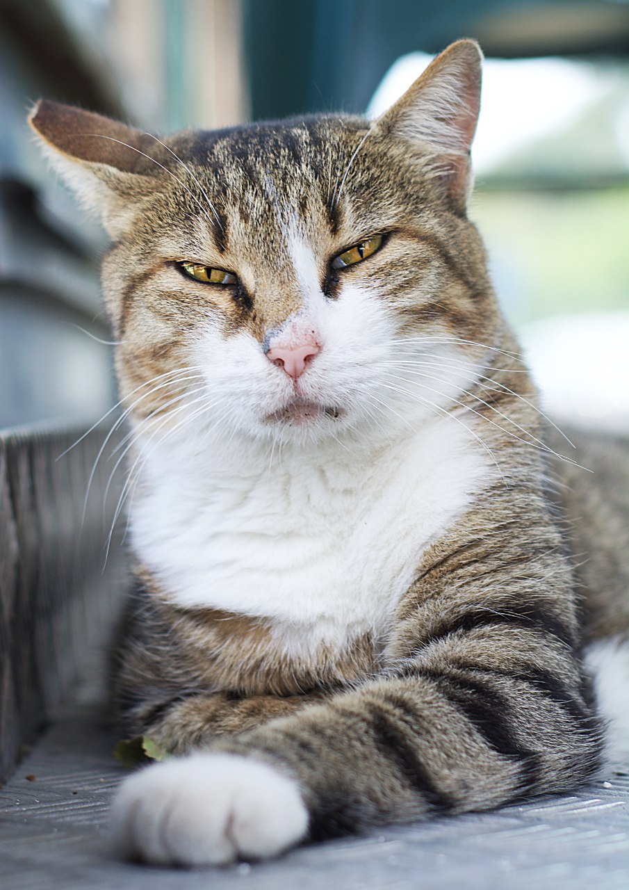 Come on I'm sleeping