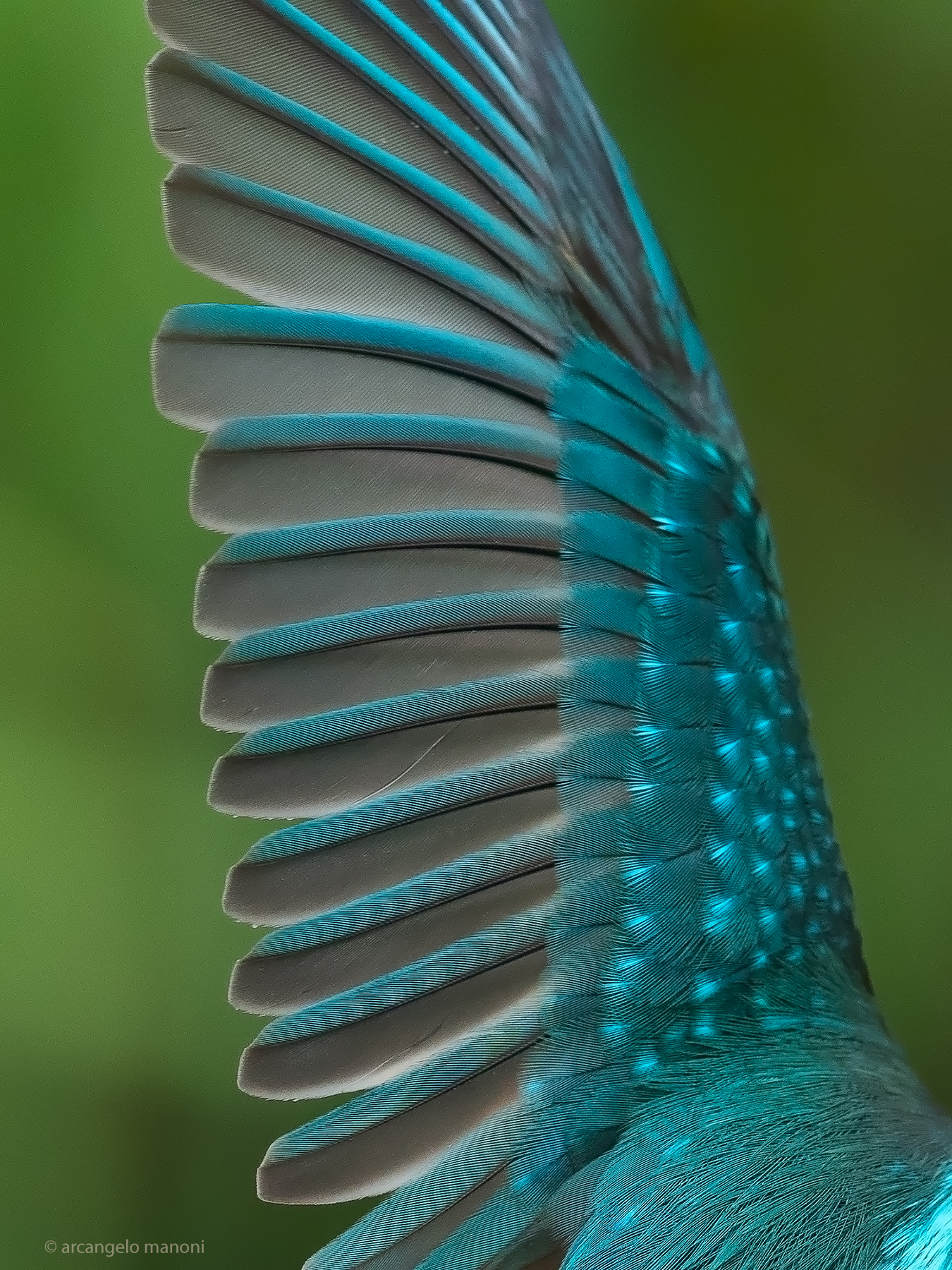 Martino Flying Instruments