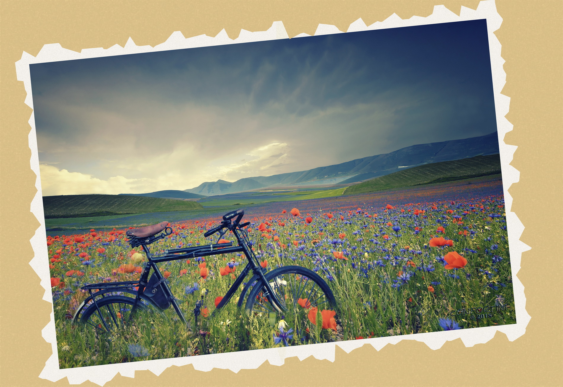 Postcard from Norcia