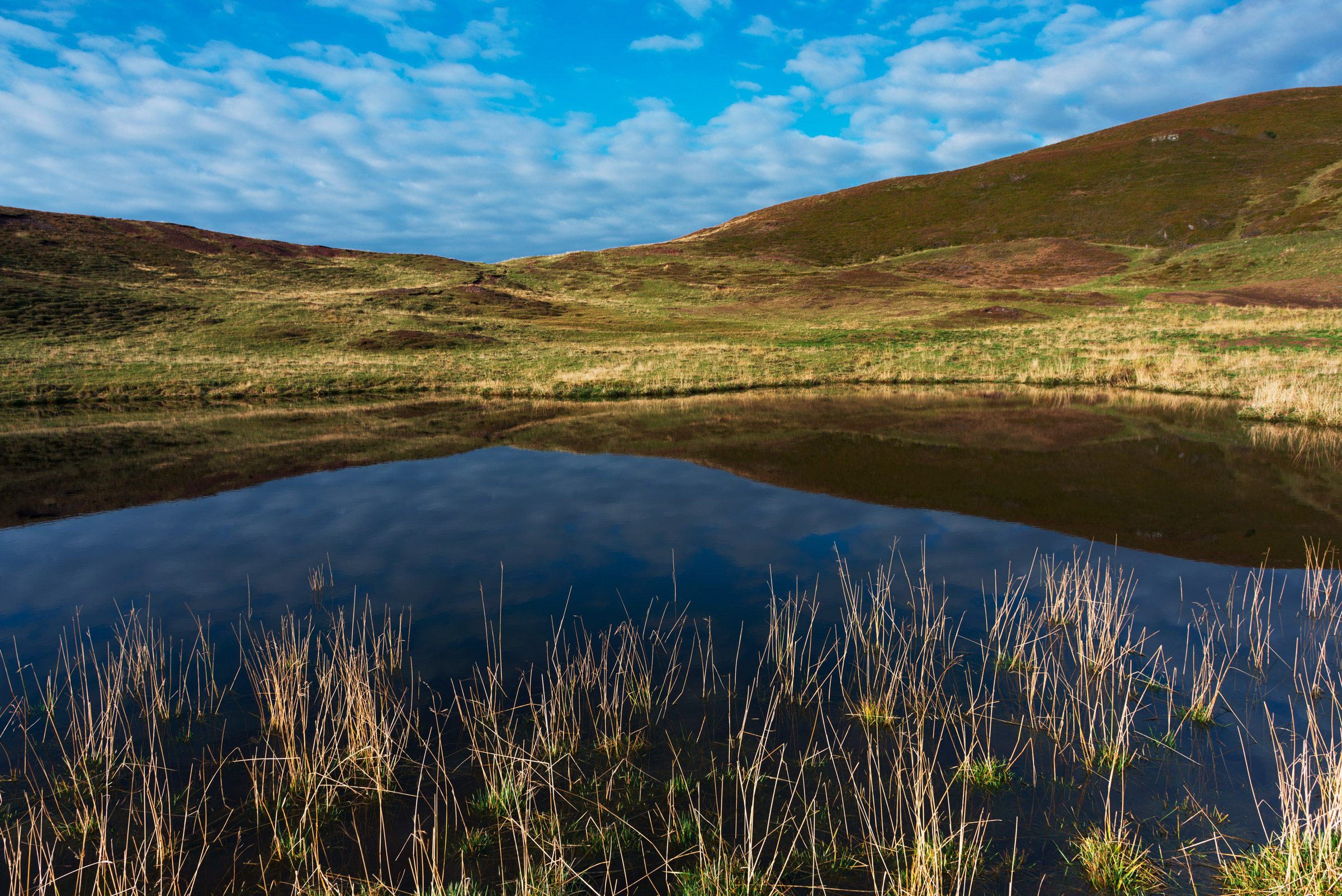 Pond at Casera Dimon. Carnic Alps.