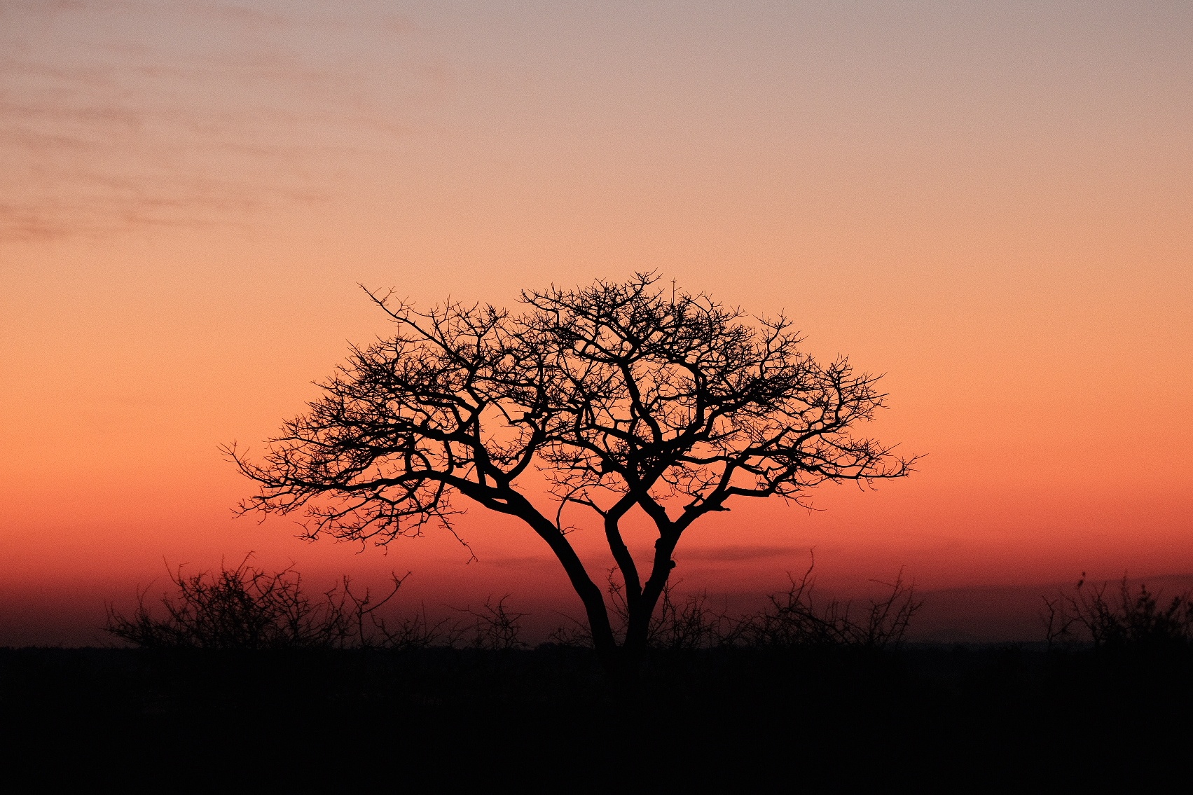 Sunset at Kruger Park