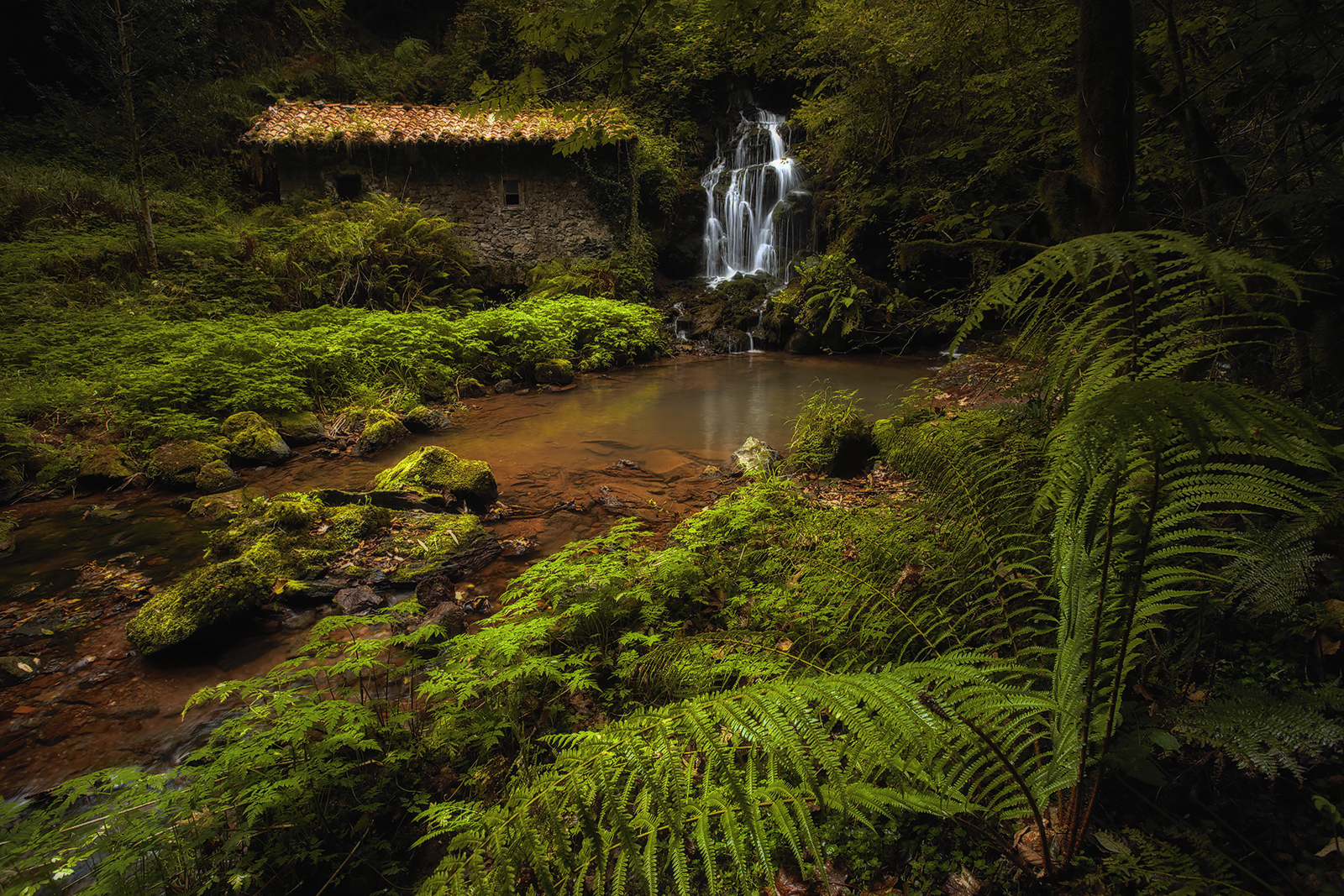 Molino de Obaya (villaviciosa) Asturias SPAIN