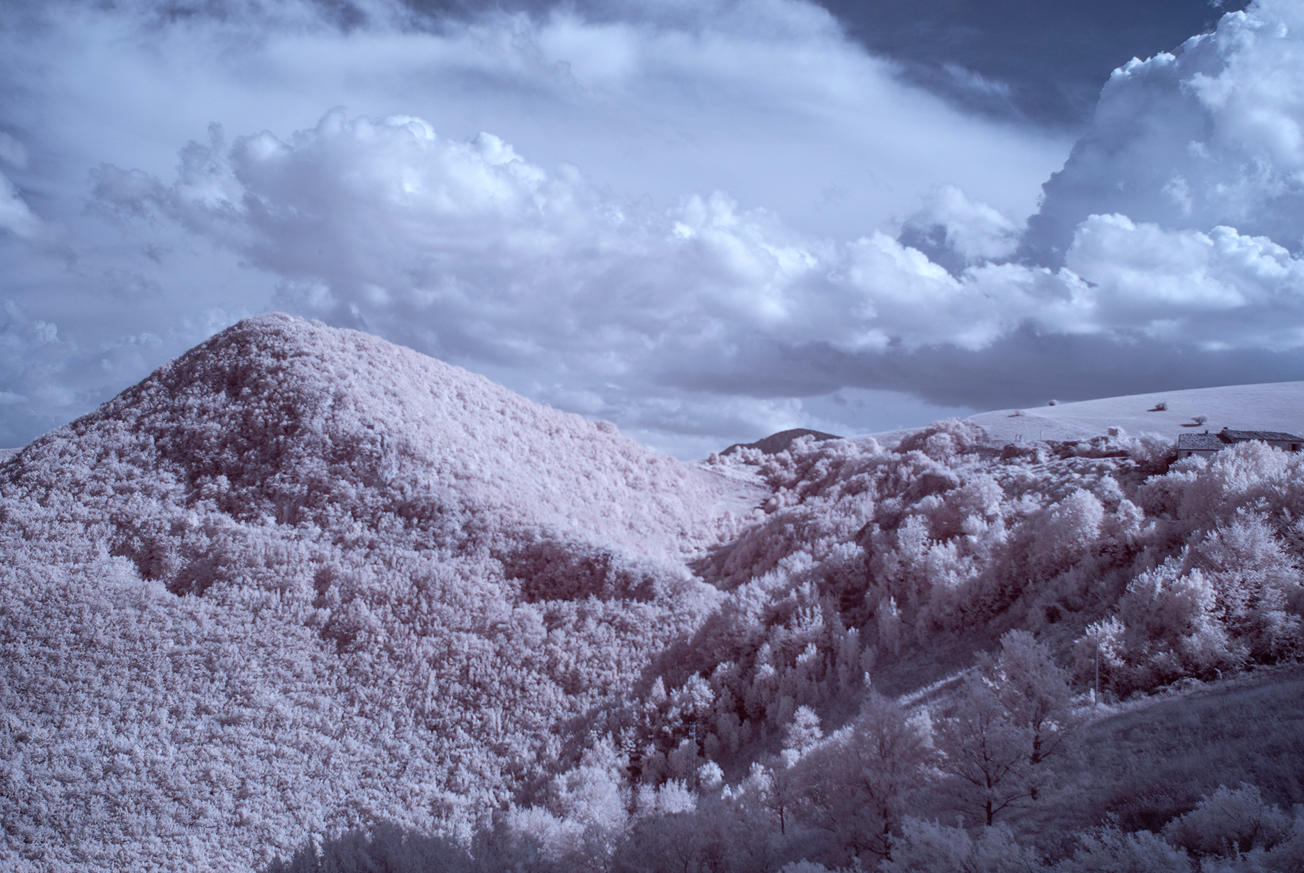 Pendici di monte San Vicino