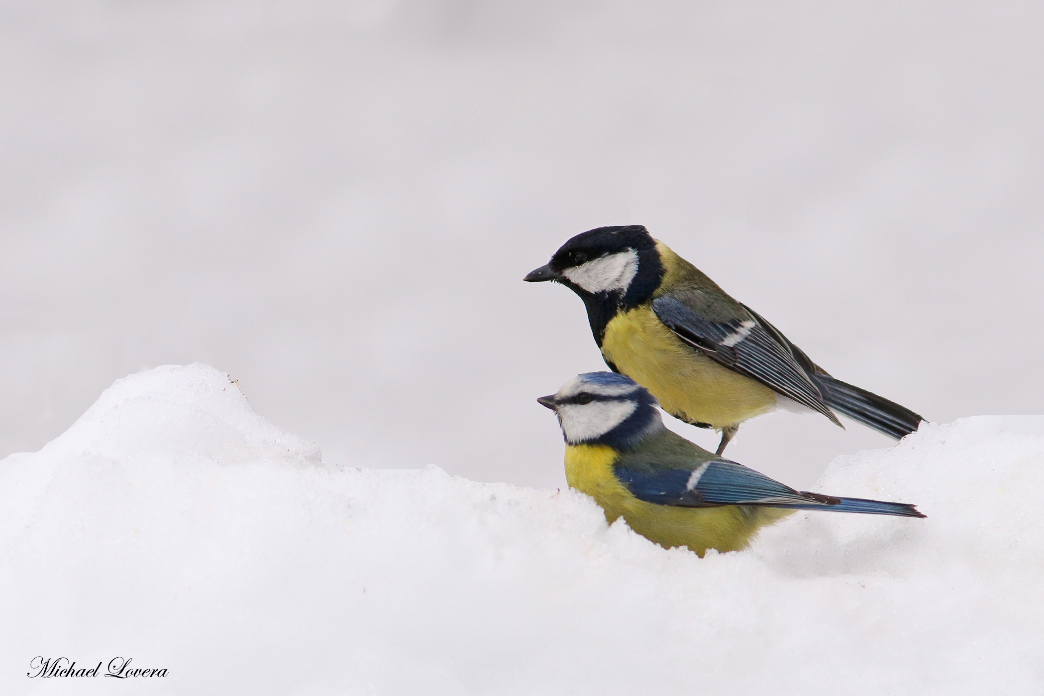 Similar but different...