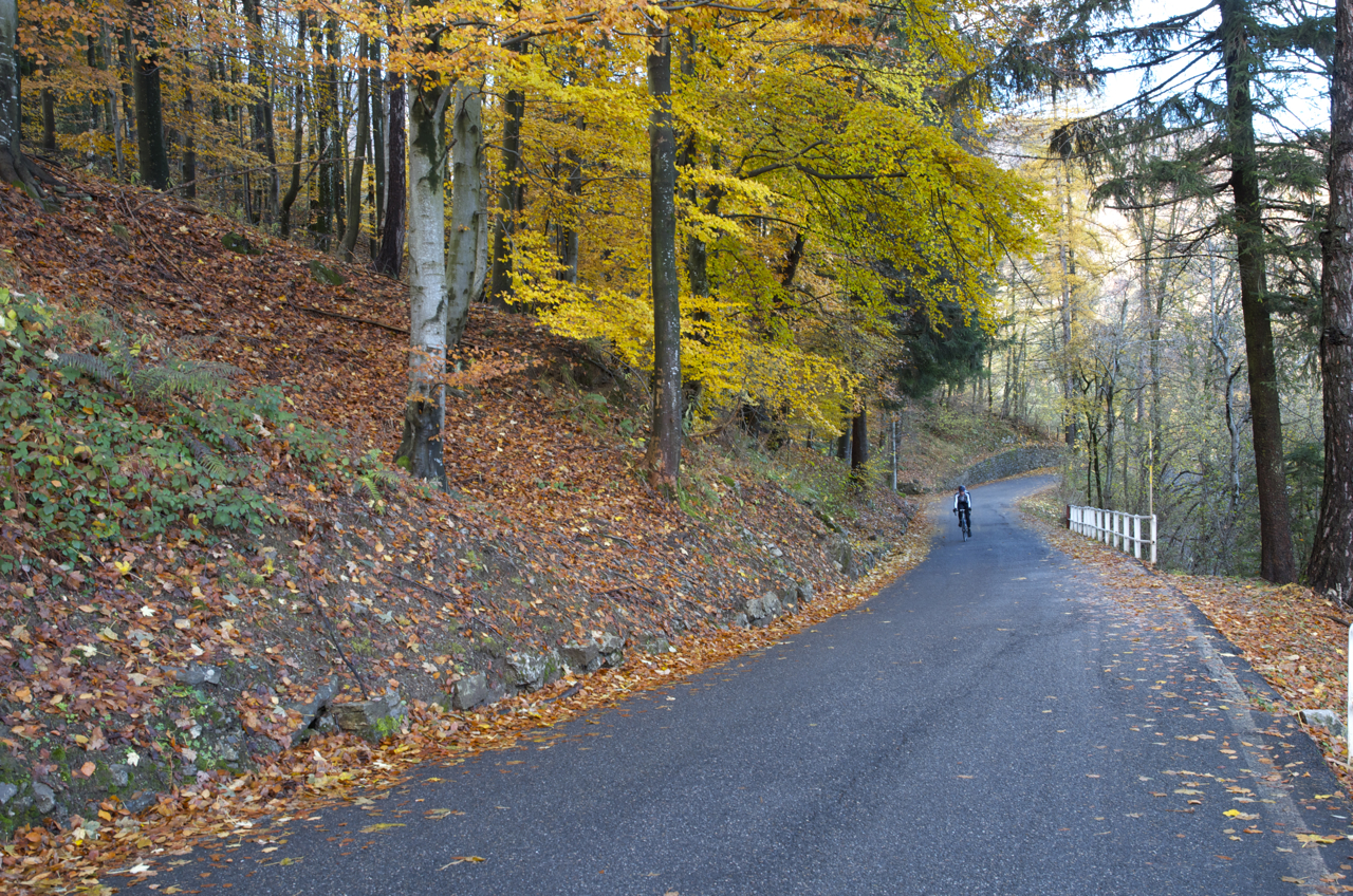 pedalare tra i colori