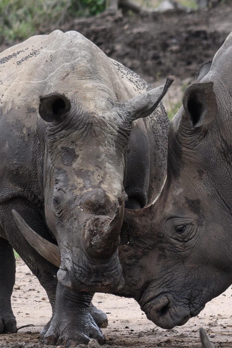 We love each other so much....