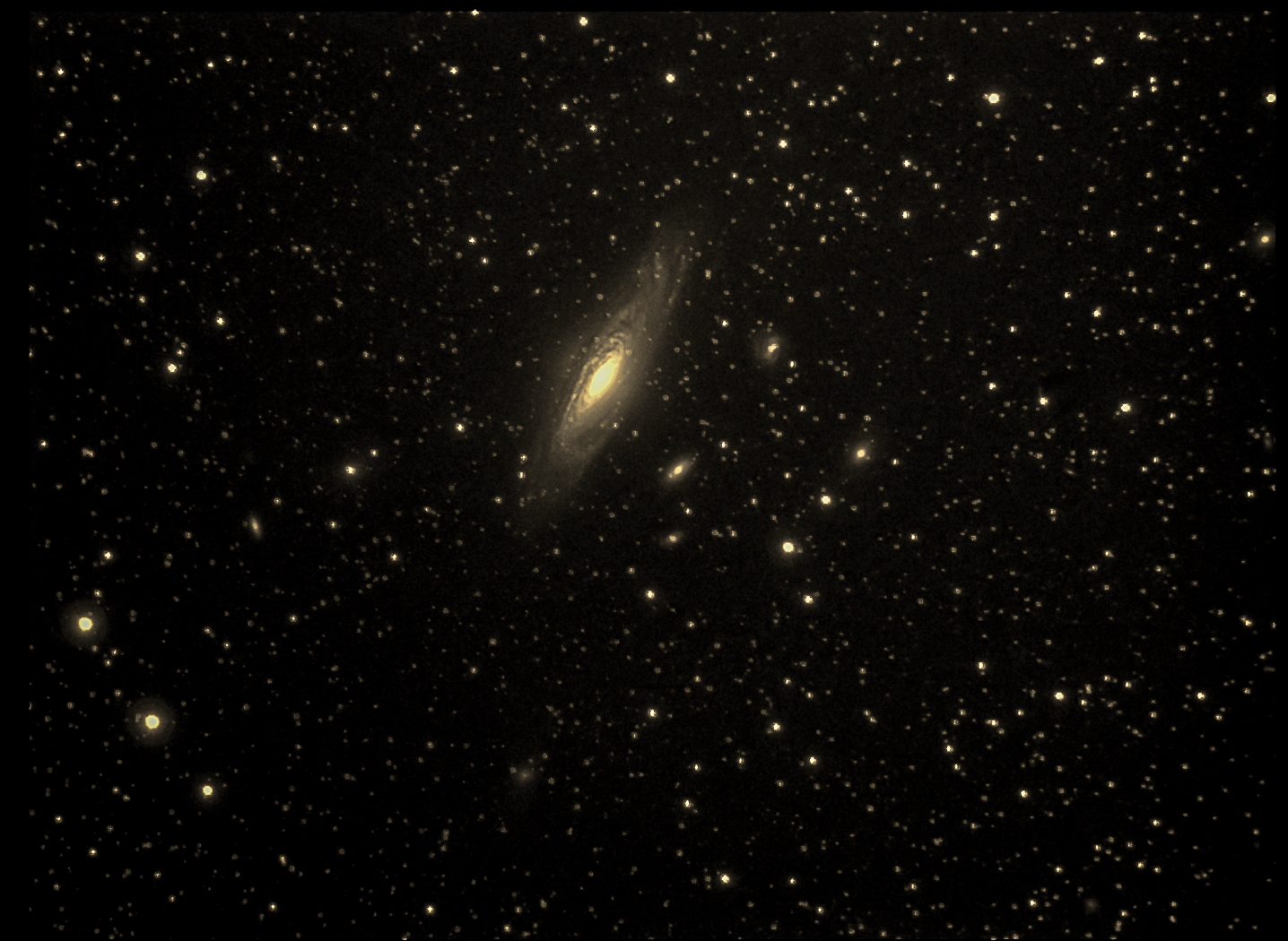 Gruppo Deer Link ( rivisto )