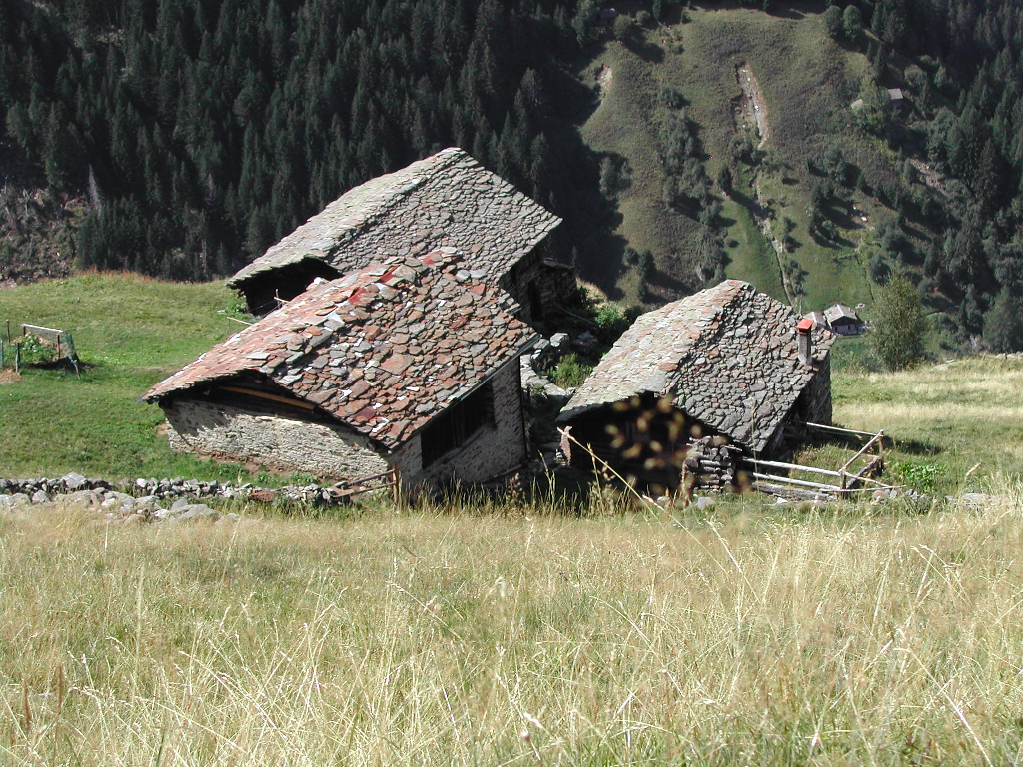Torrenzuolo, Val Tartano