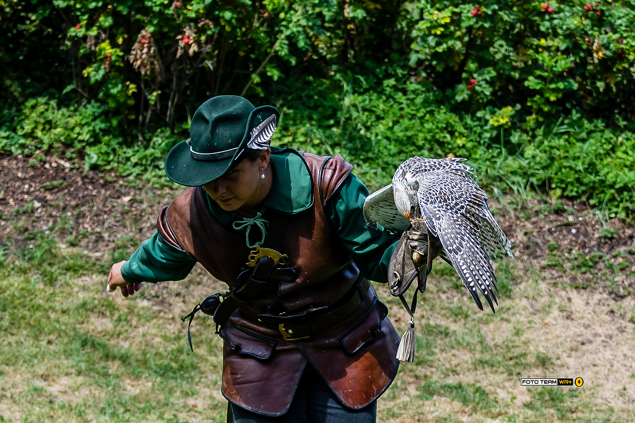 Il volo del falco - 1