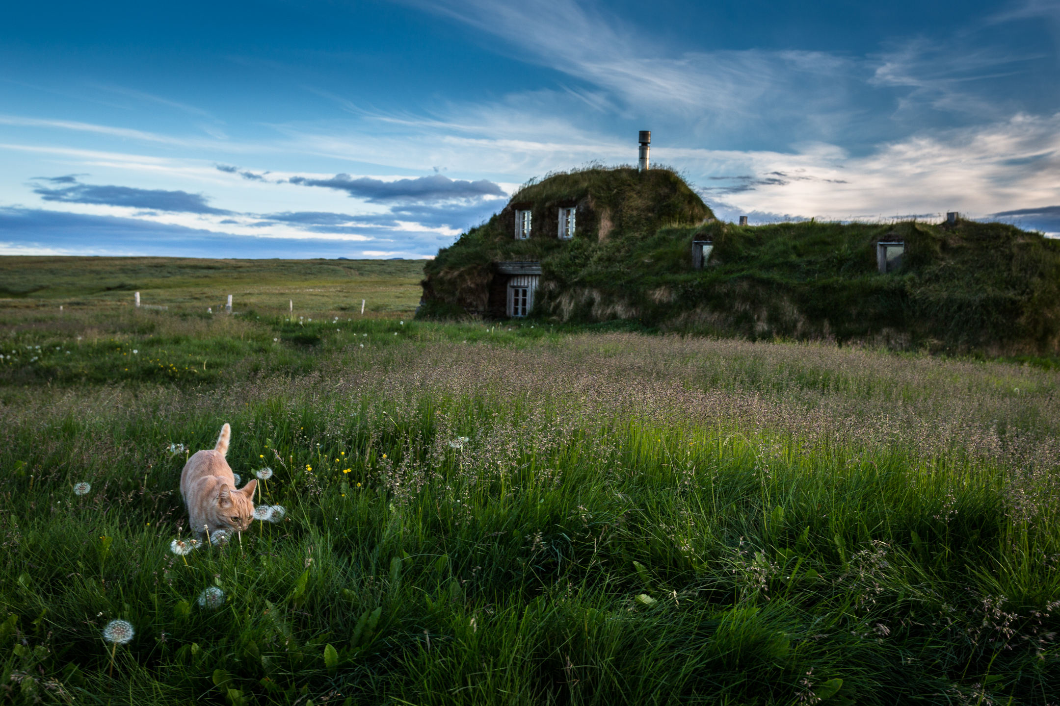 House on the Prairie Iceland