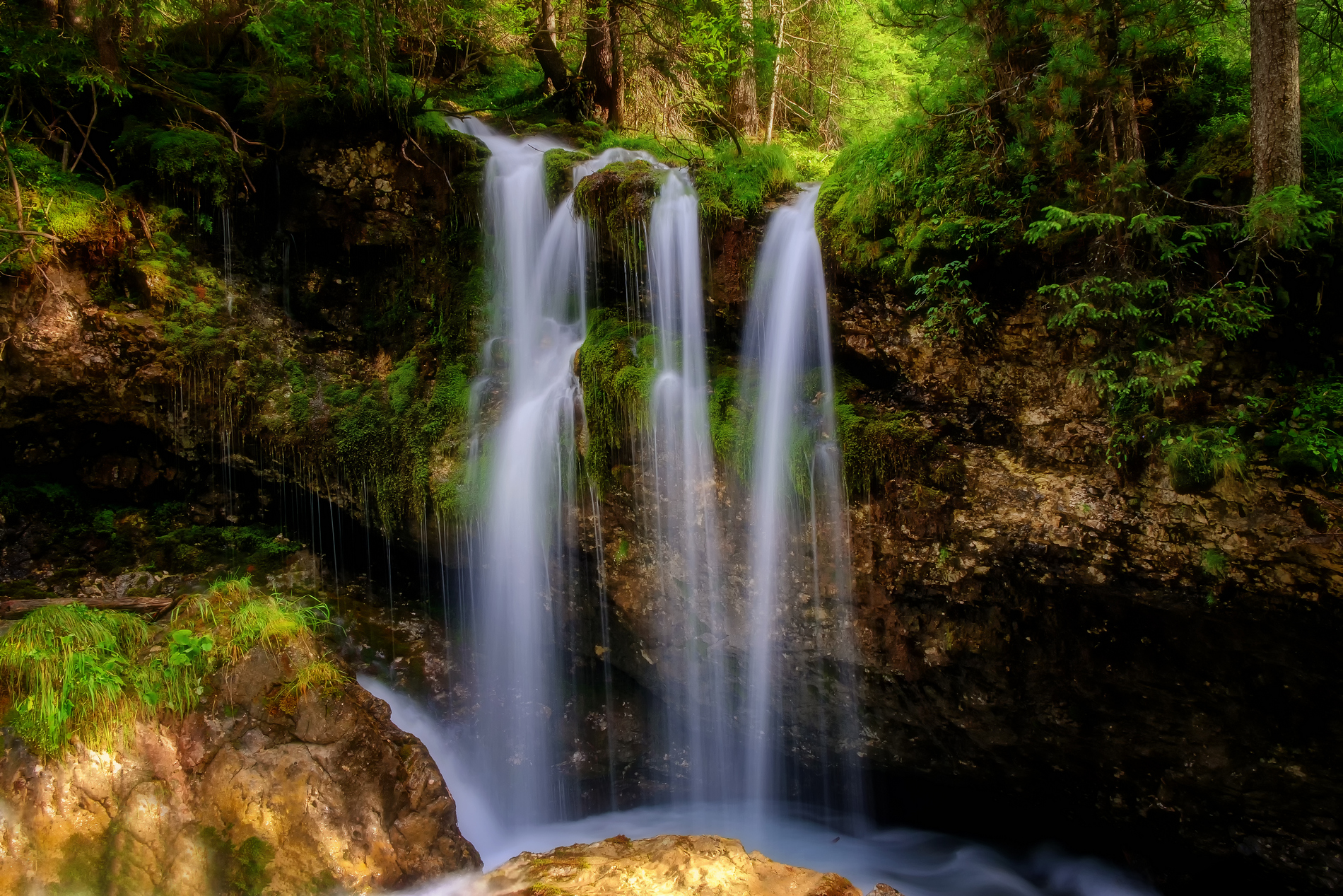 Suoni della Natura 3 anni dopo