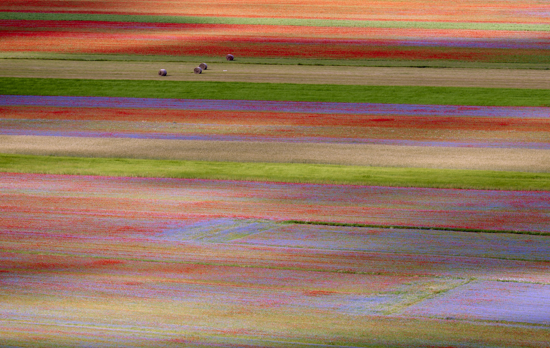 Castelluccio di Norcia
