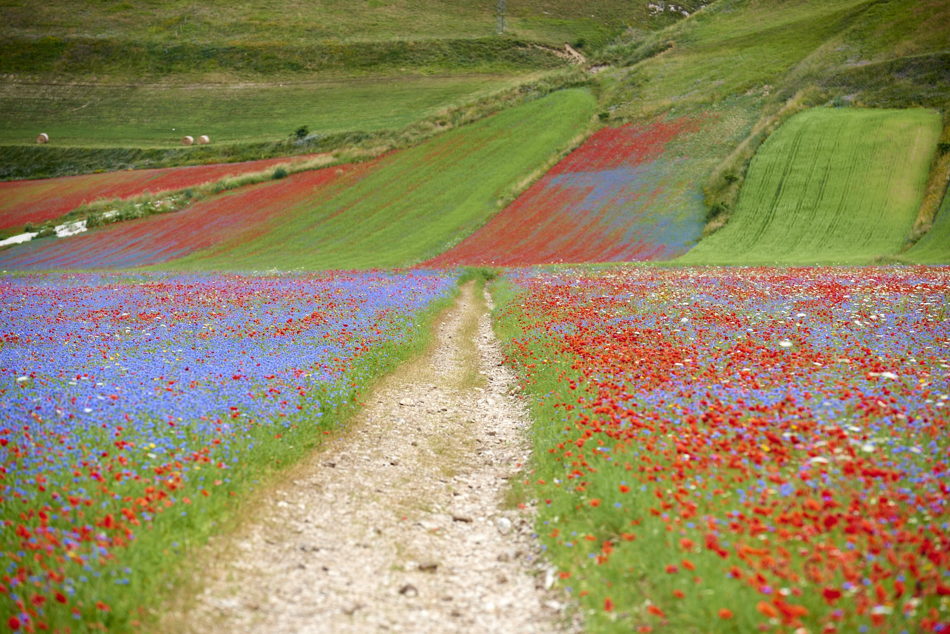 Castelluccio di Norcia