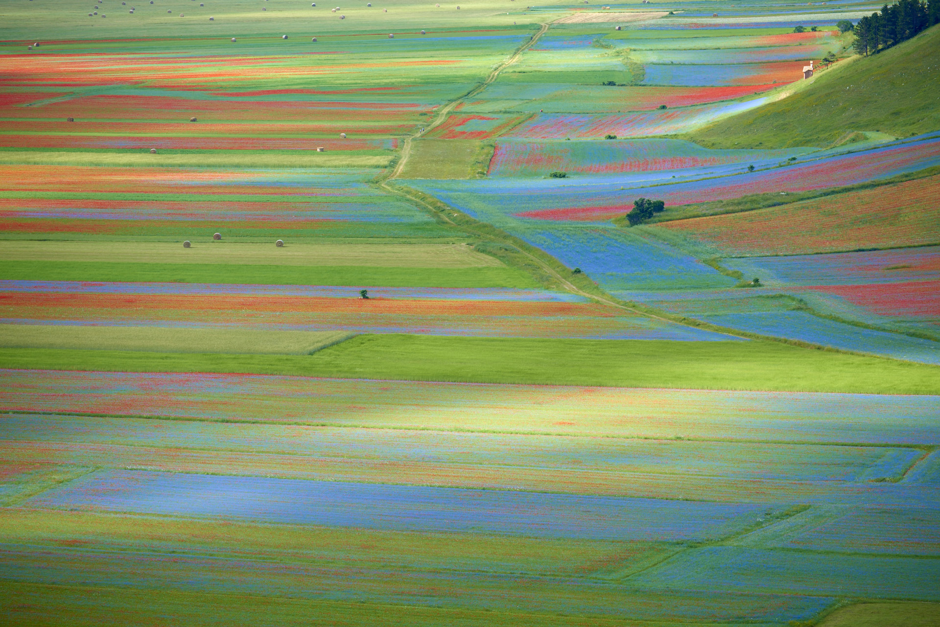 Castelluccio di Norcia
