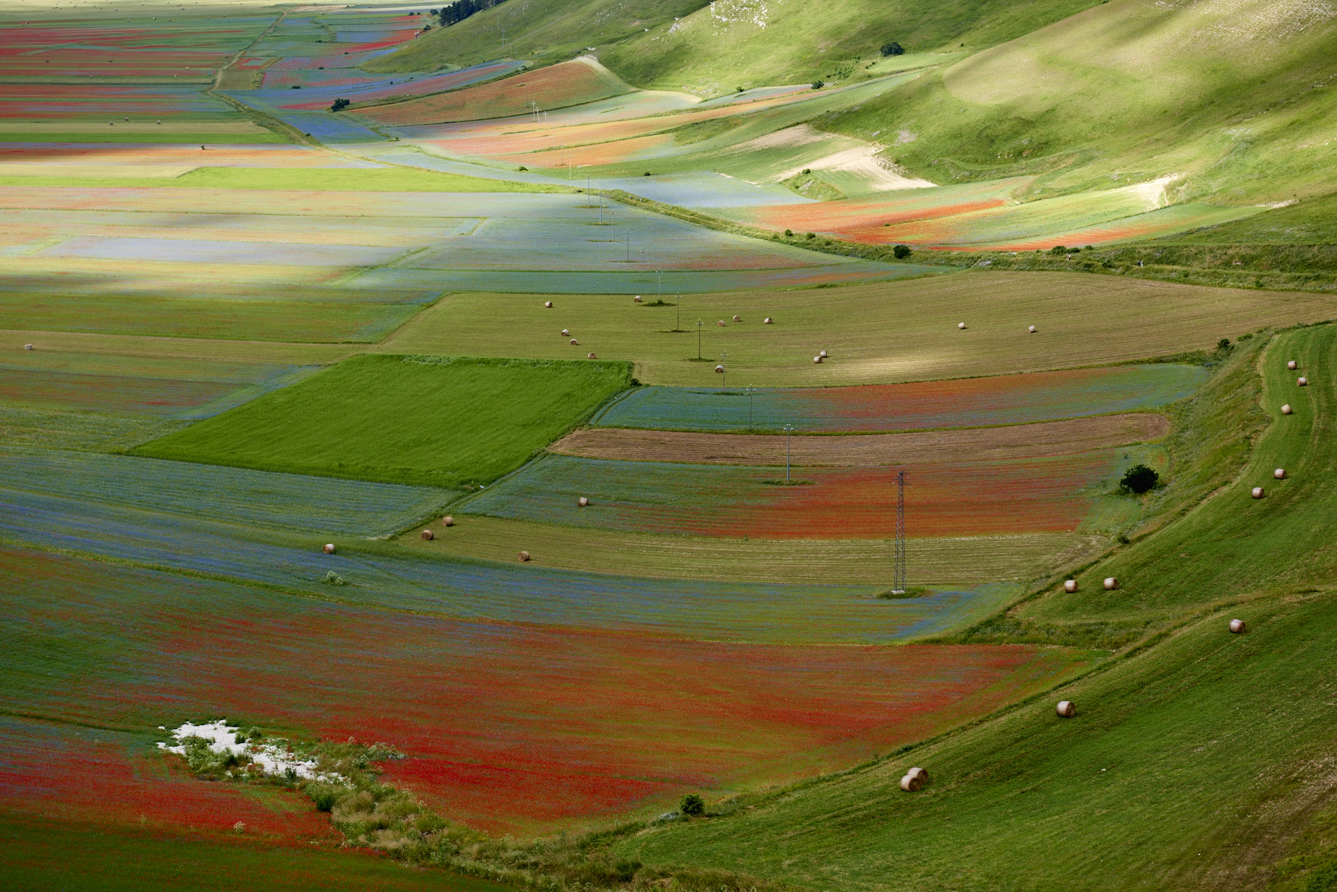 Castelluccio di Norcia
