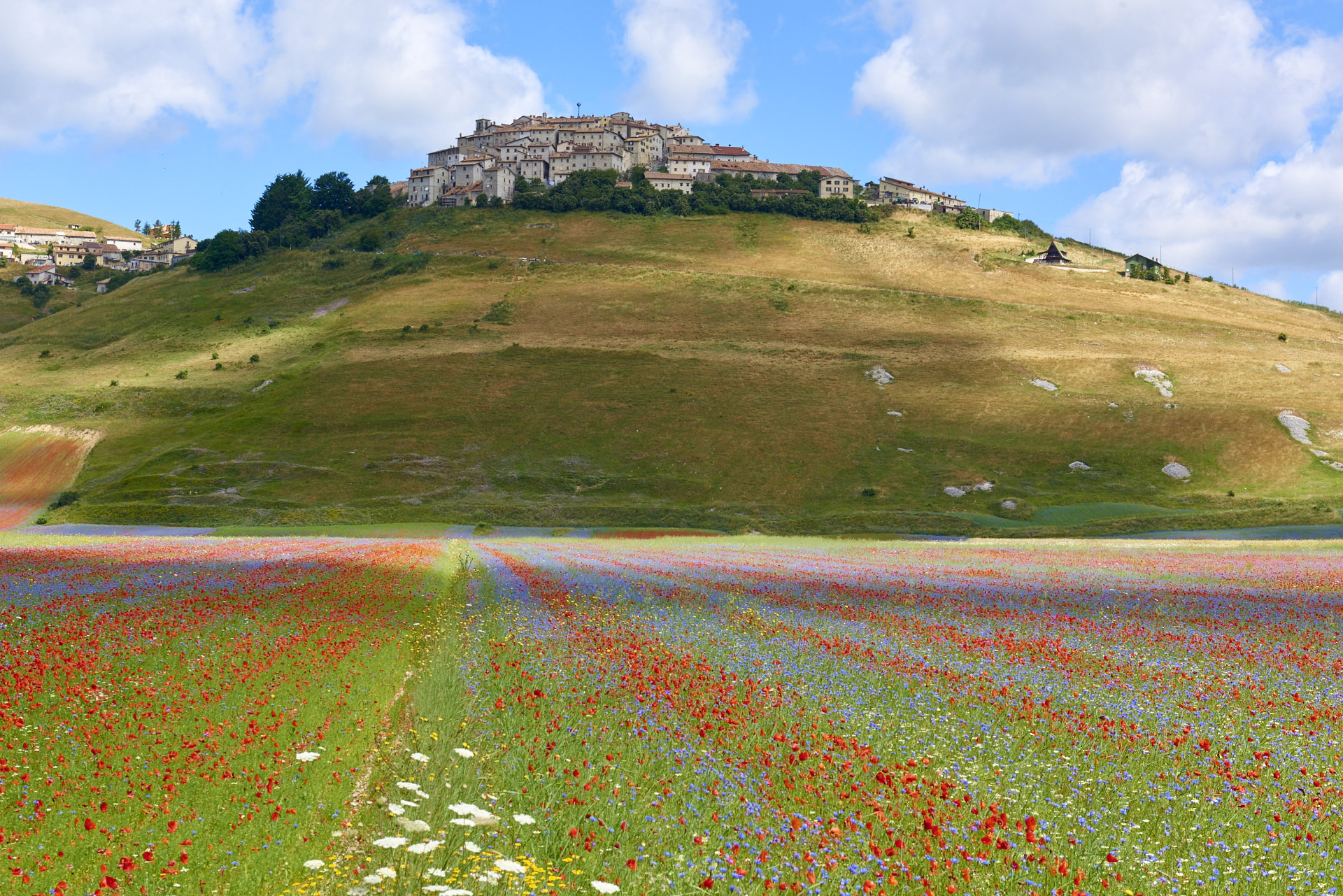 Castelluccio di Norcia