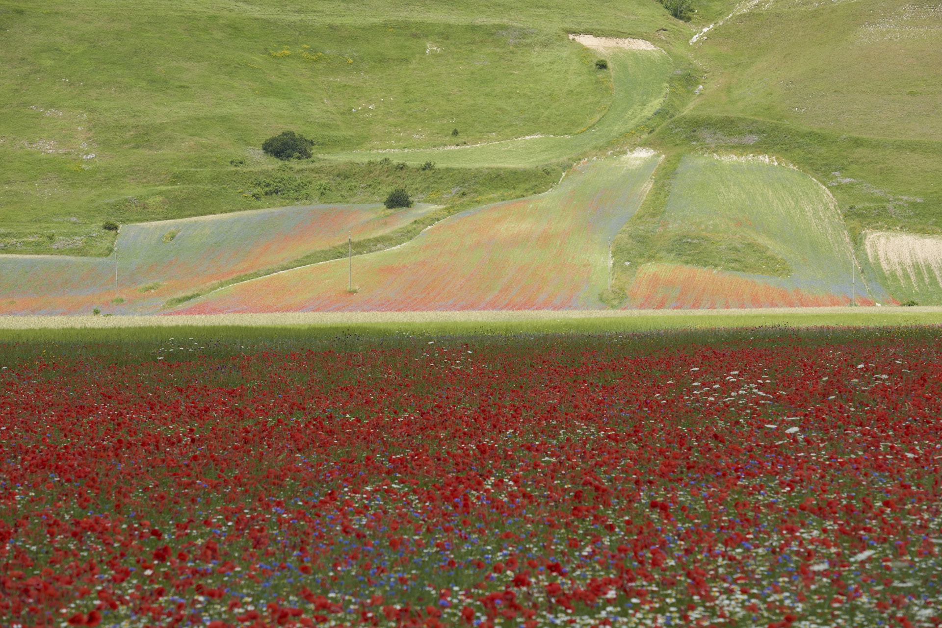 Castelluccio di Norcia