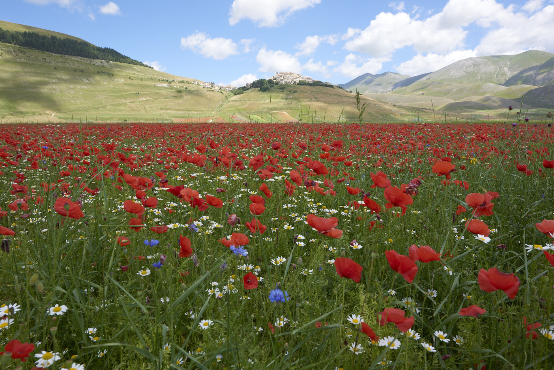 Castelluccio di Norcia