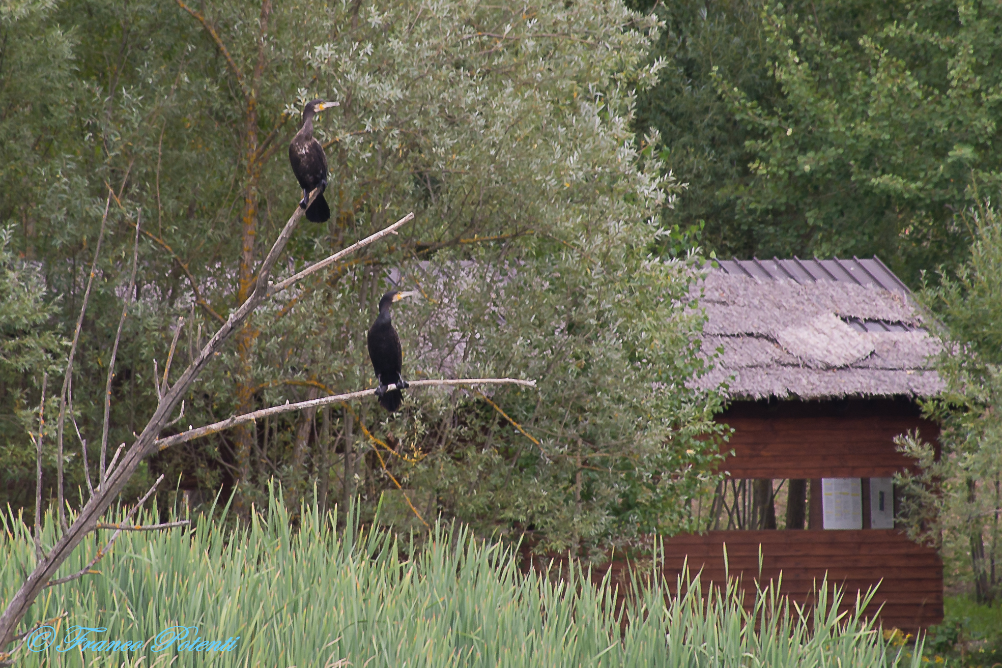 The Marais Nature Reserve
