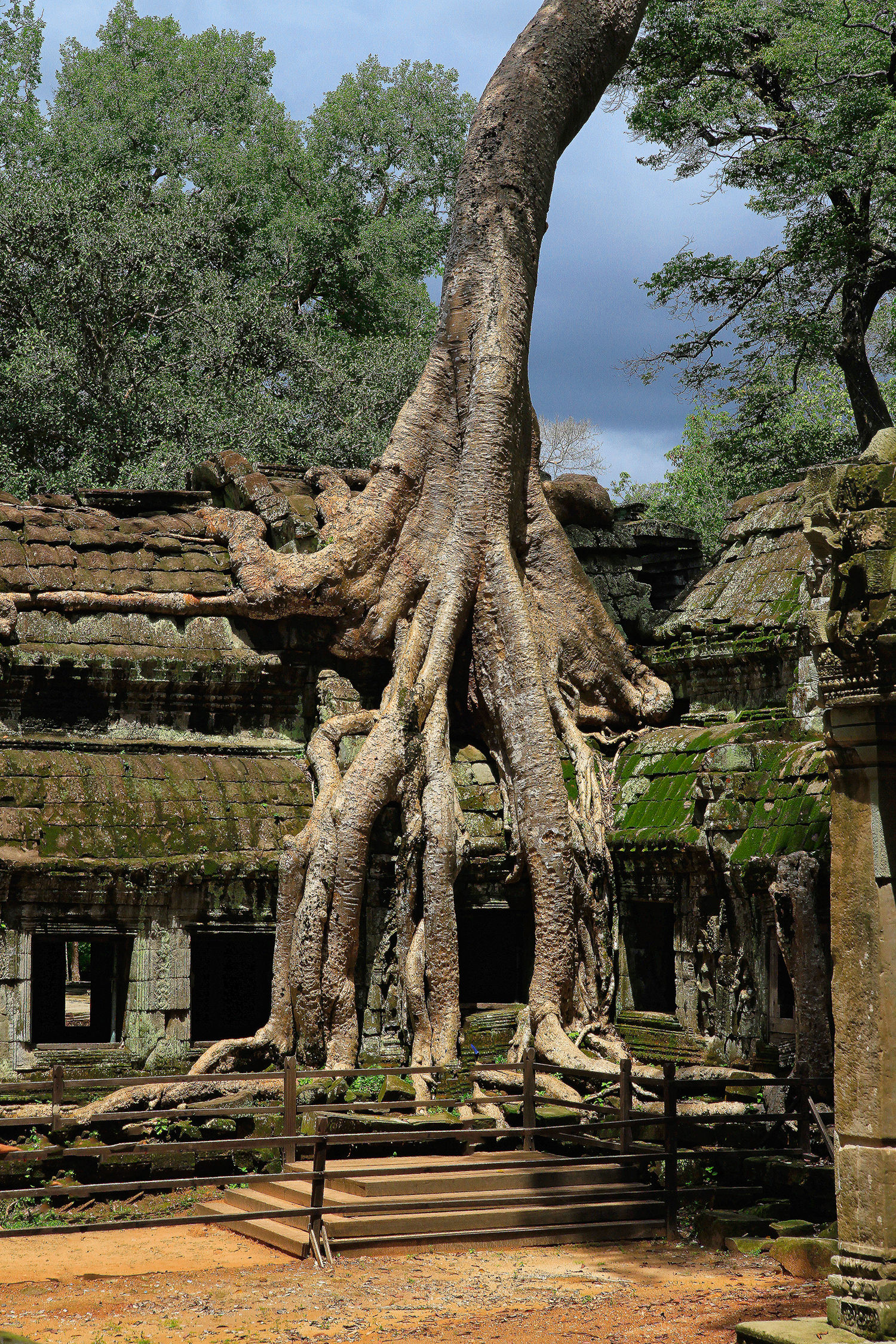 To the temples of Angkor