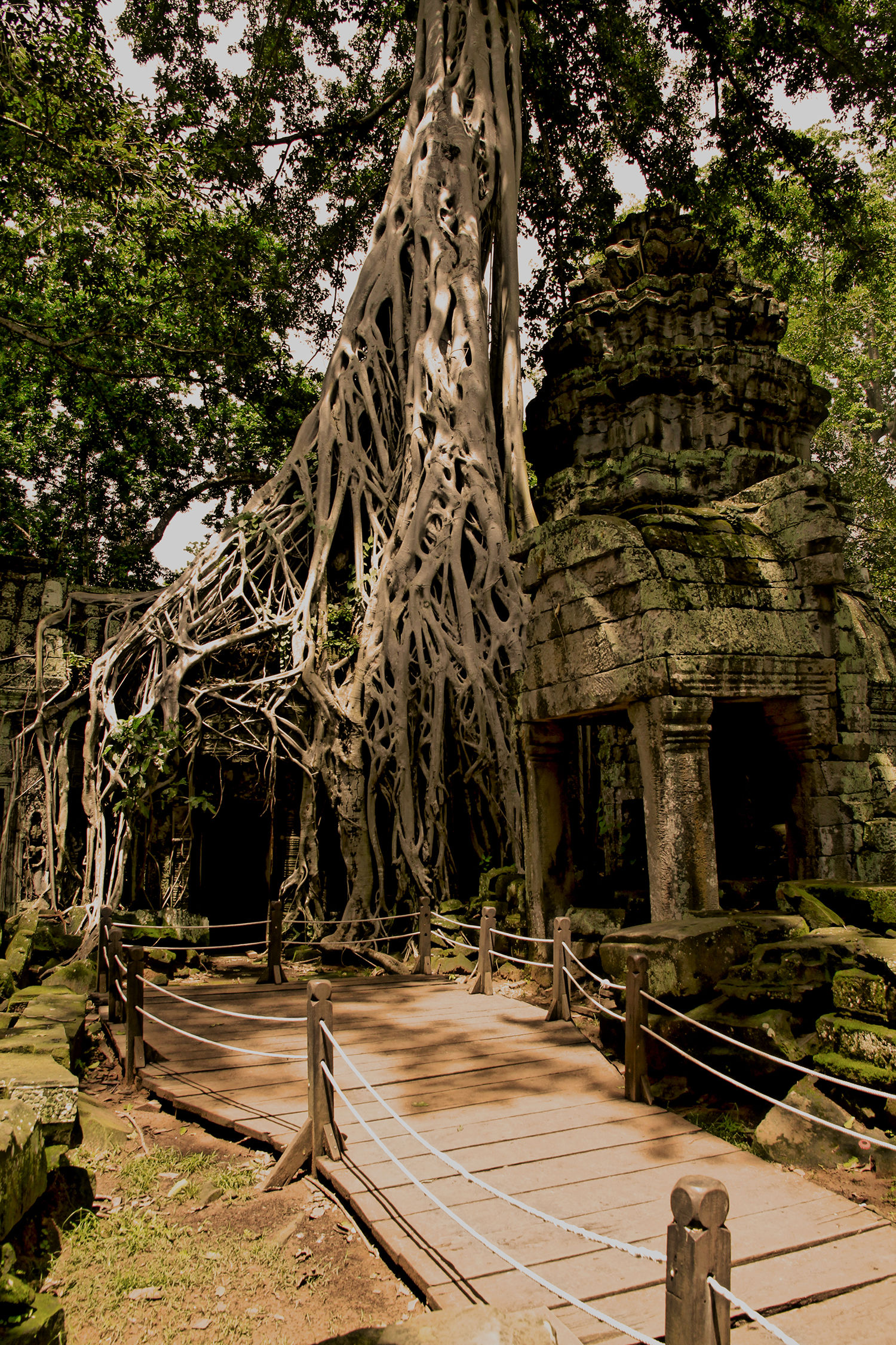 At the temples of Angkor 2