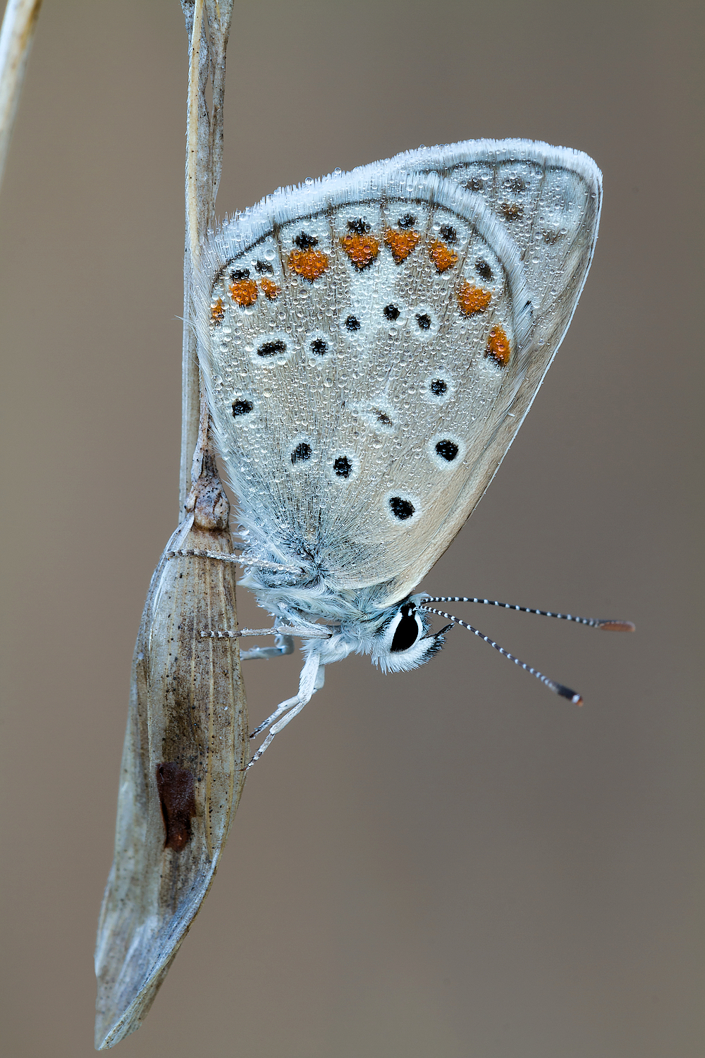 alle prime luci dell'alba