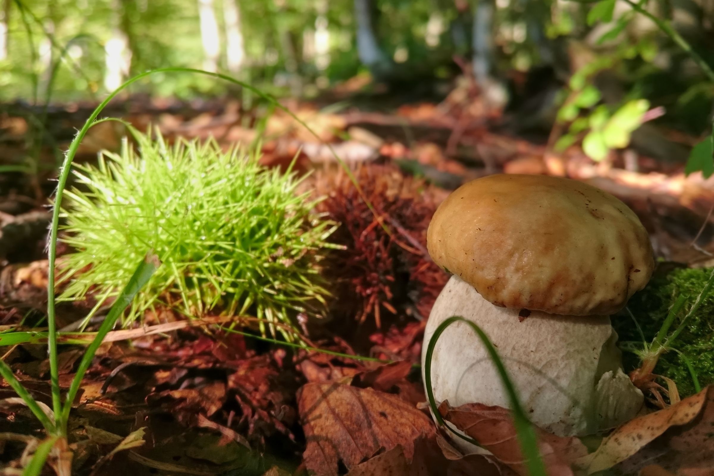 Autumn is at the door!!