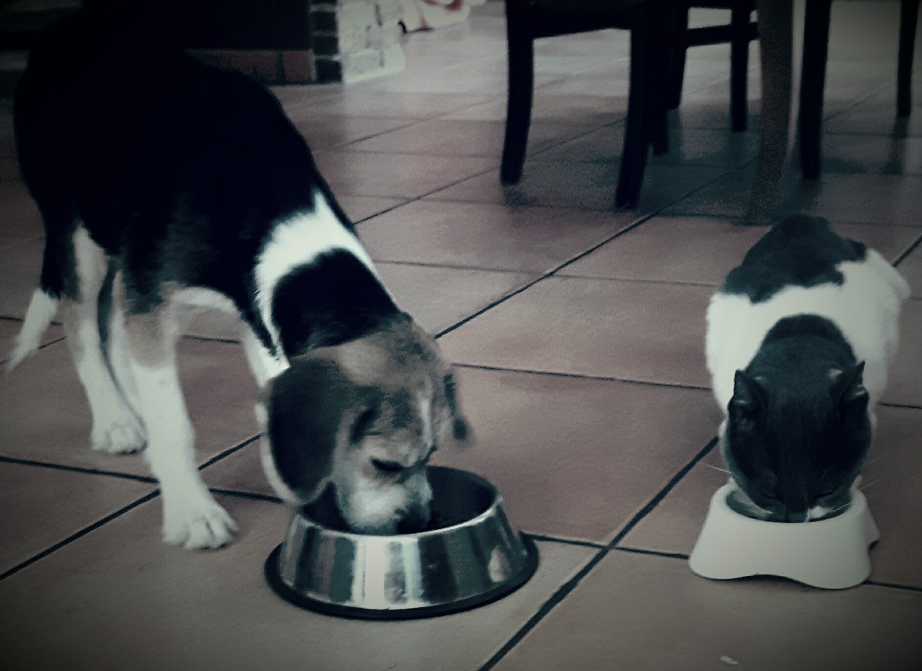 L amore che ti d anno l ora non ha paragoni!