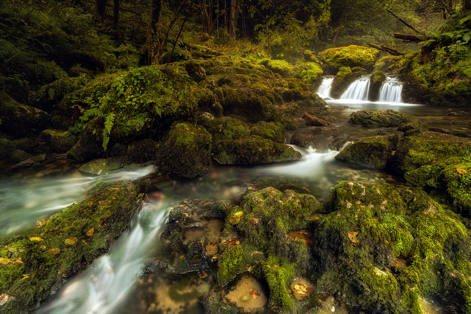 Cascada Obaya (Colunga)