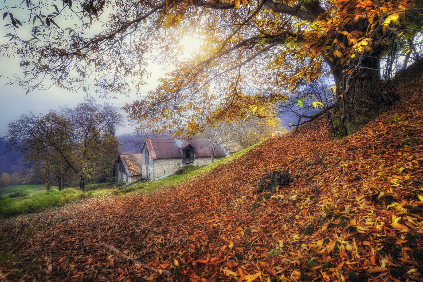 Autumn at Alpe Salvetti