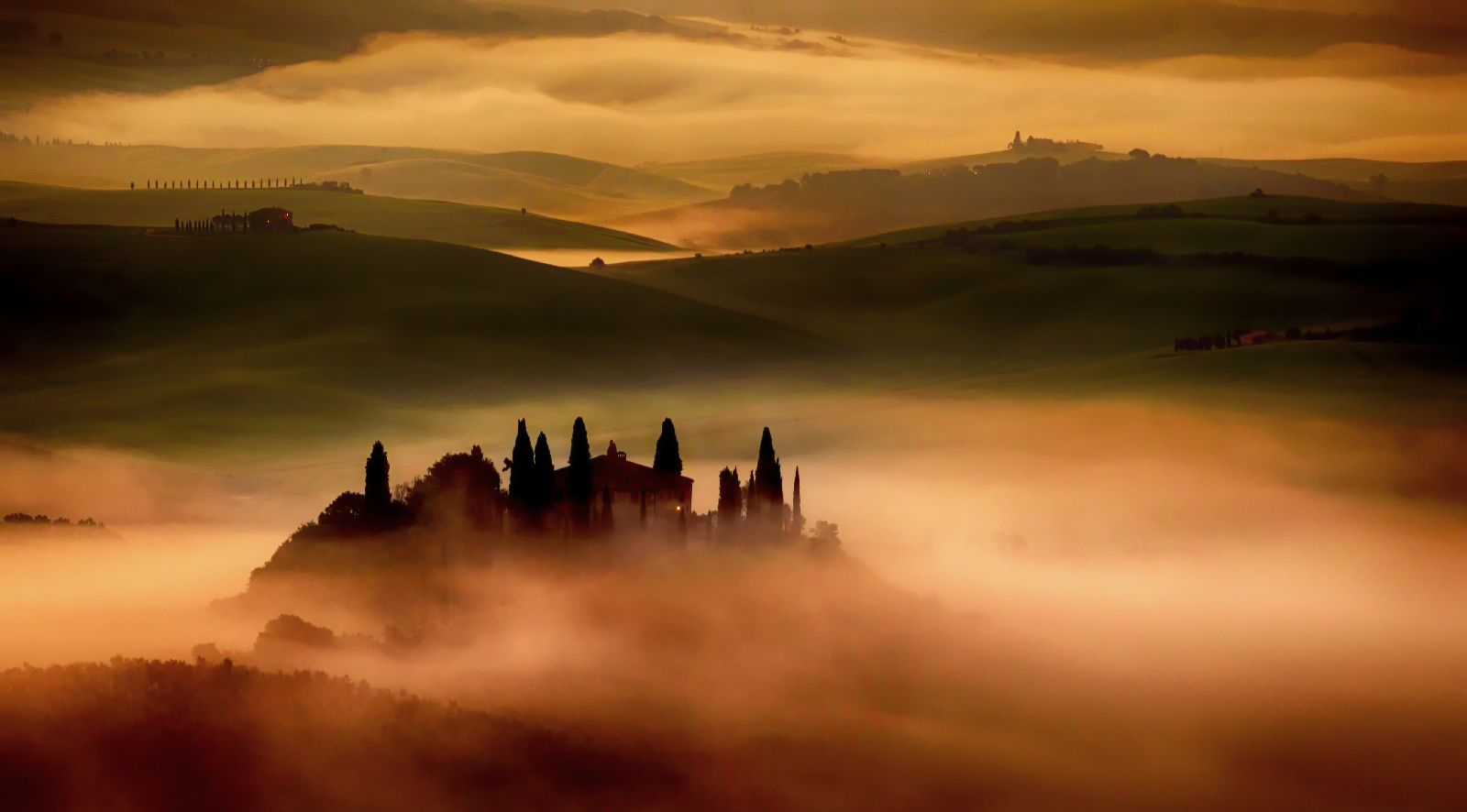 Between Dream and reality