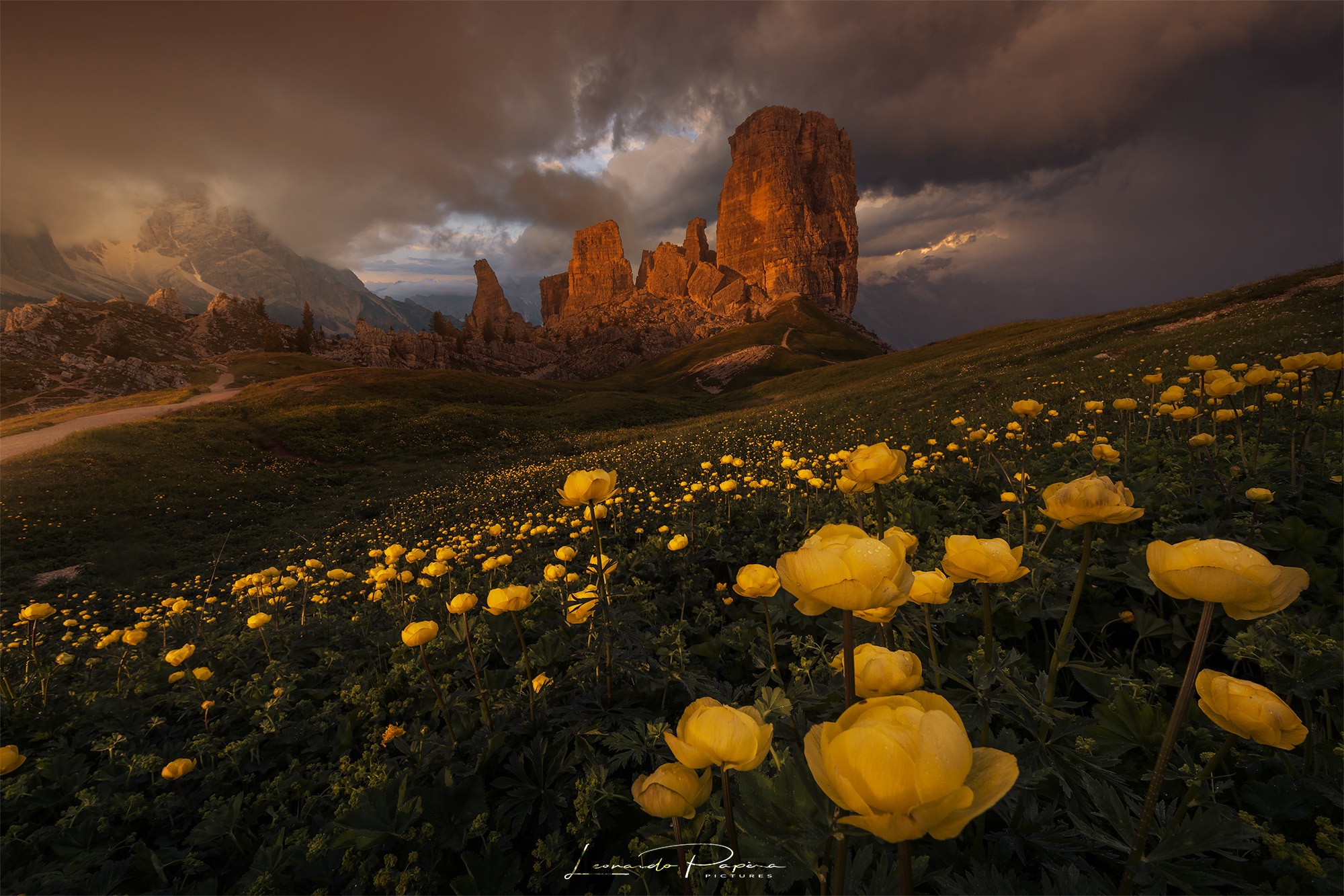 The Last Breath of Light