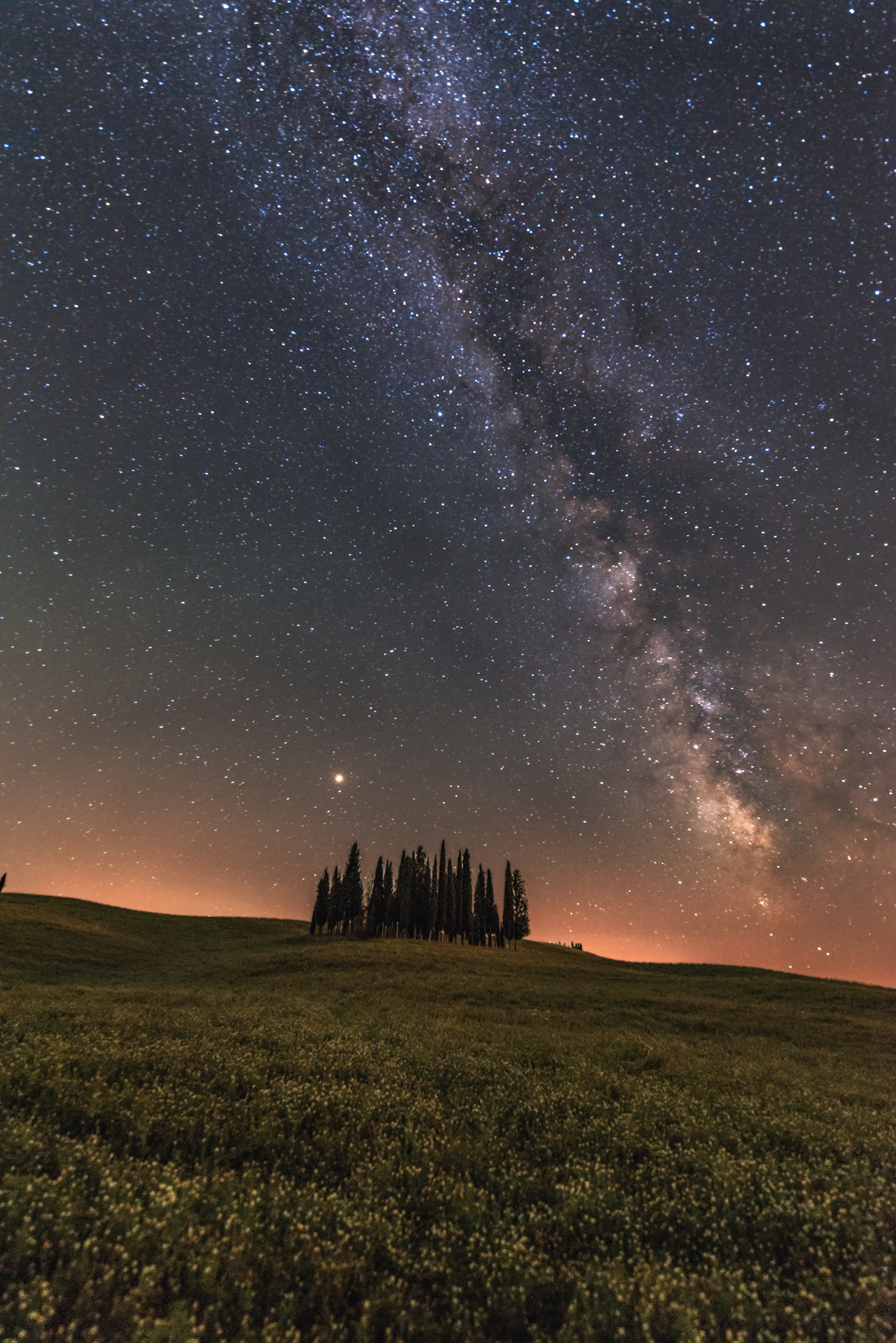 Cipressi Val D'Orcia