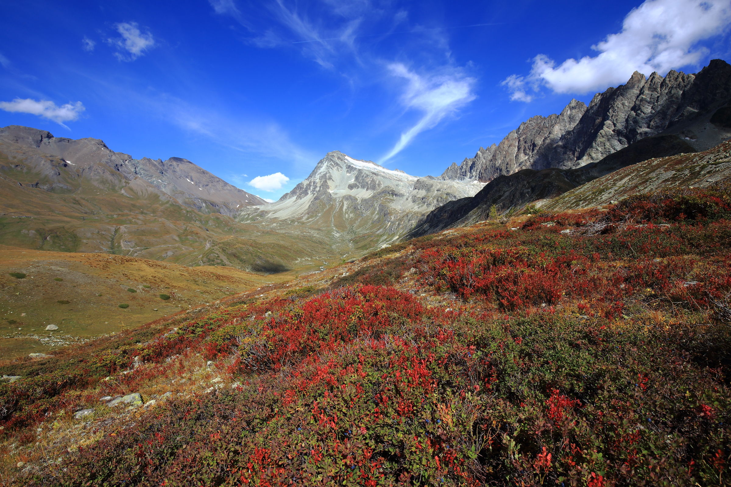 Mirtilli in veste autunnale e Mont Gelè