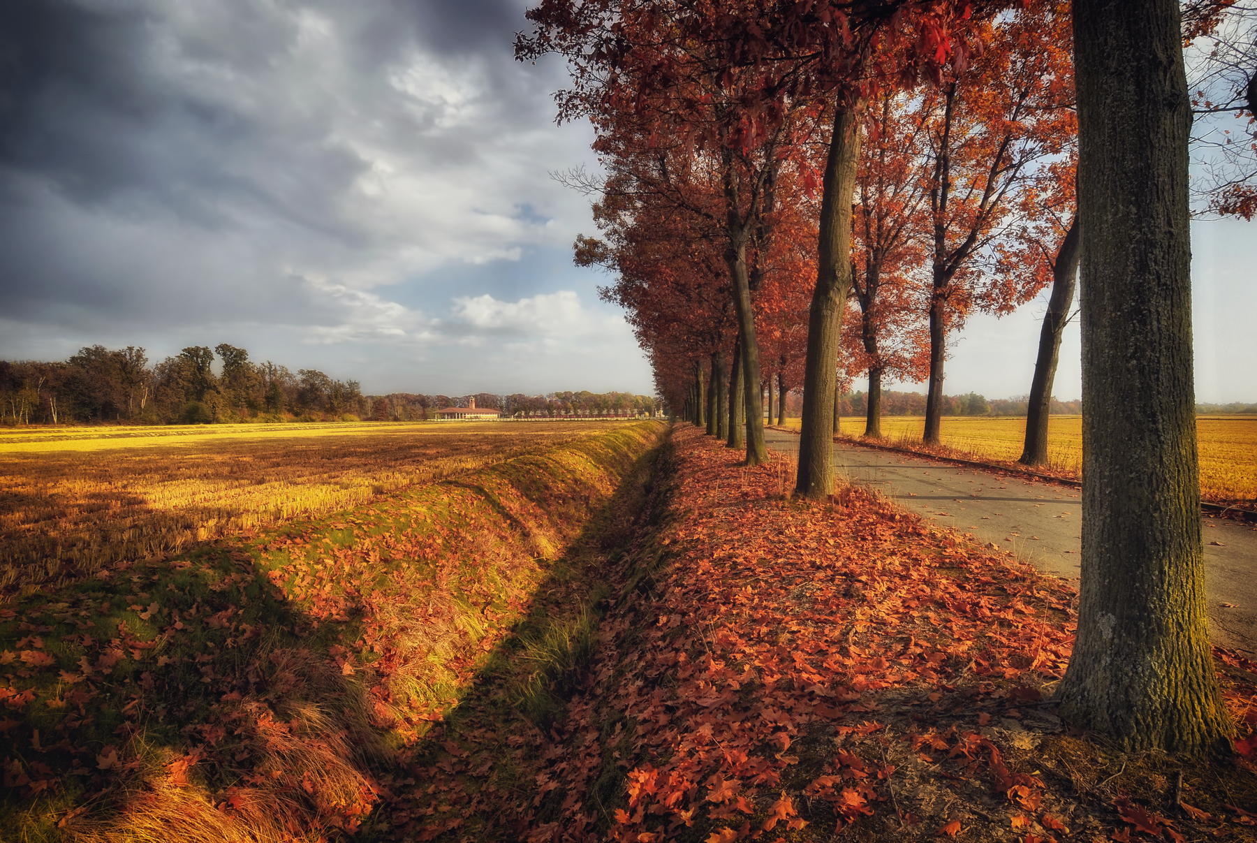 Atmosfere della Bassa