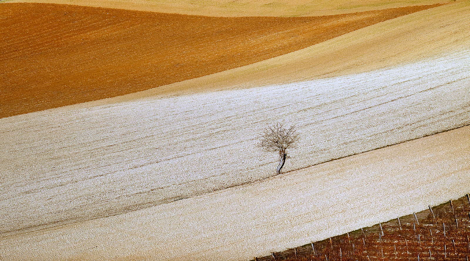 And then it becomes life