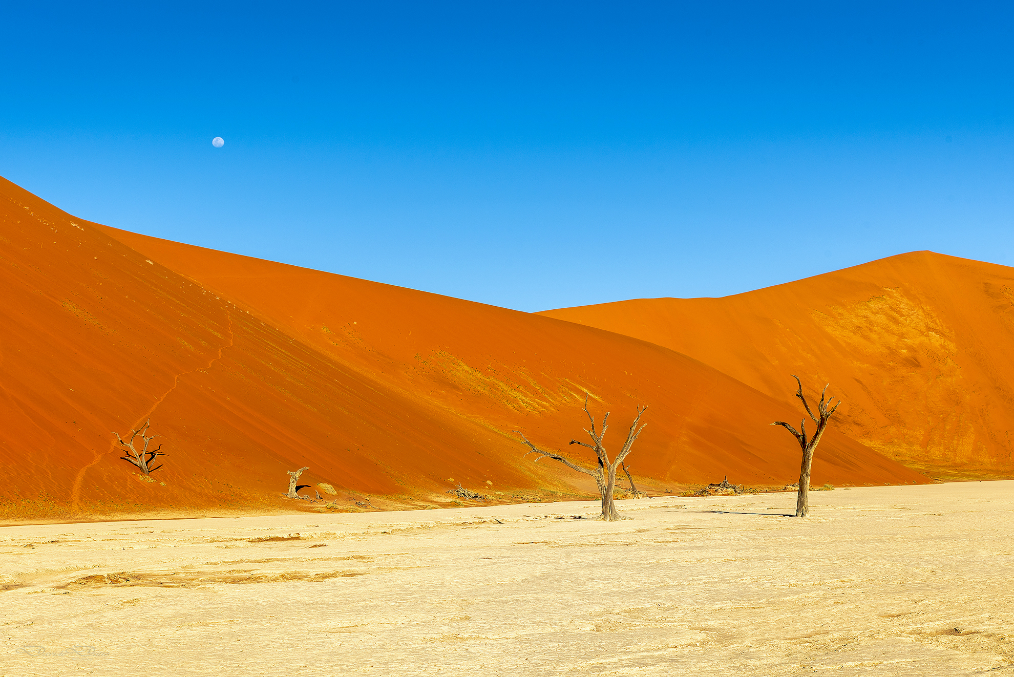 Dead Vlei al tramonto