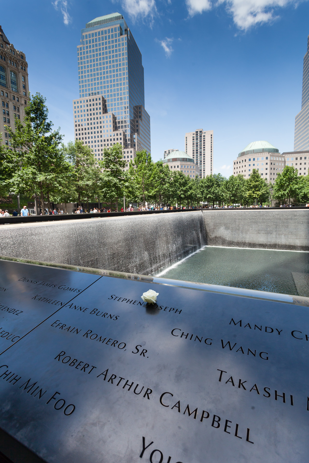 The Flower of Memory