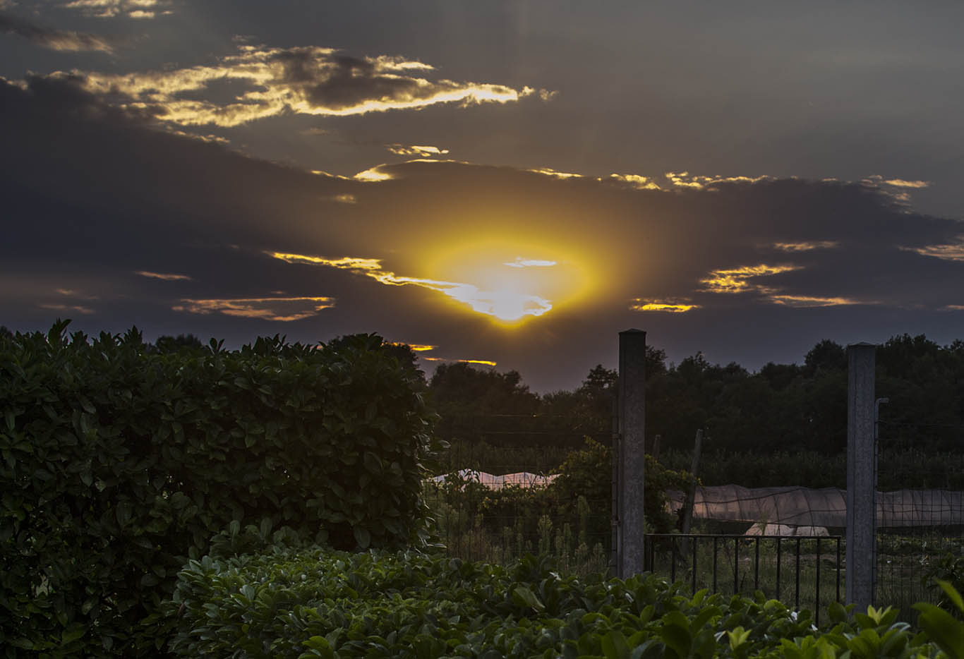 Circle of Light