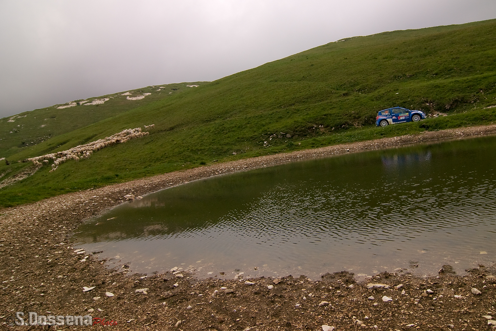 Citroen C2 s1600 - Scopel-De Marco