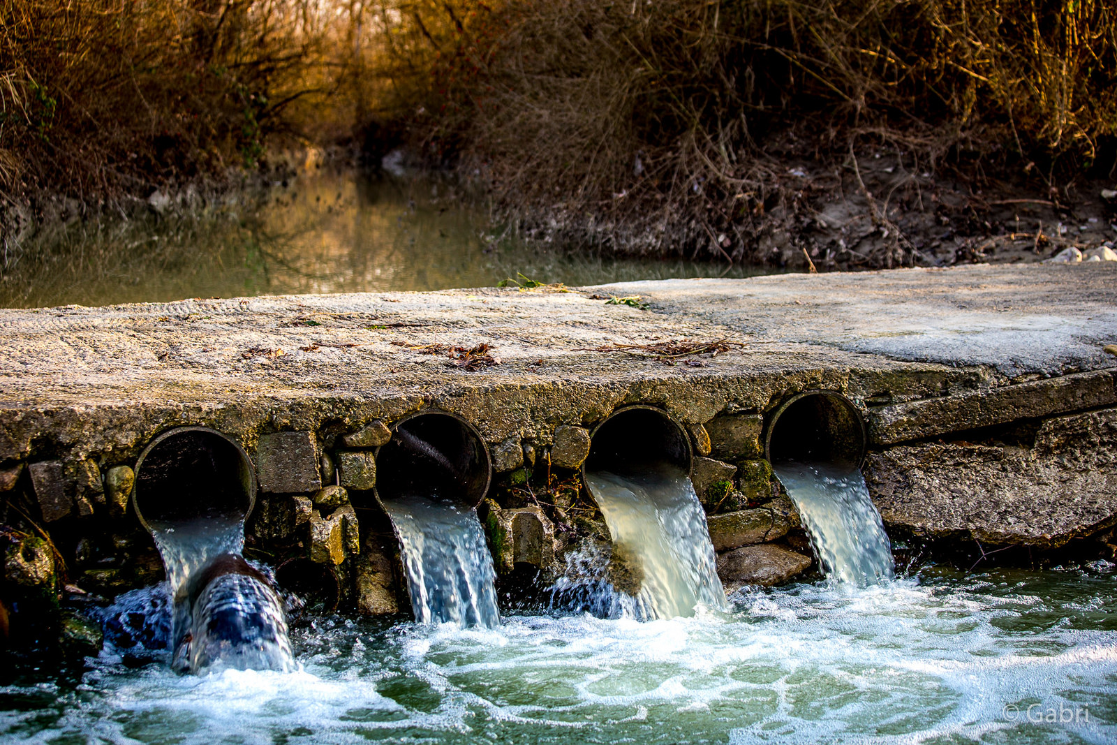 The Quaderna torrent