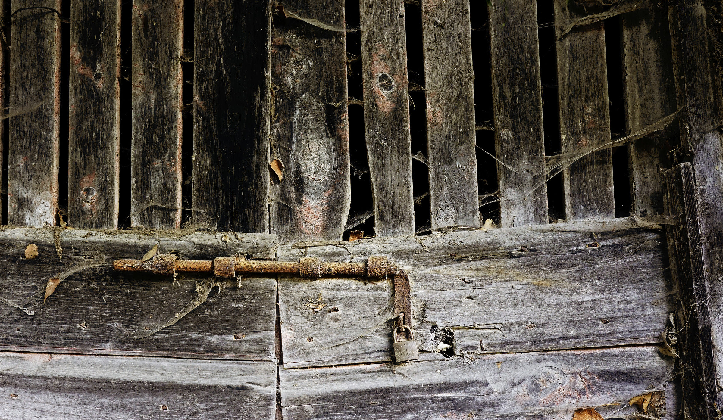 Non aprite quella porta