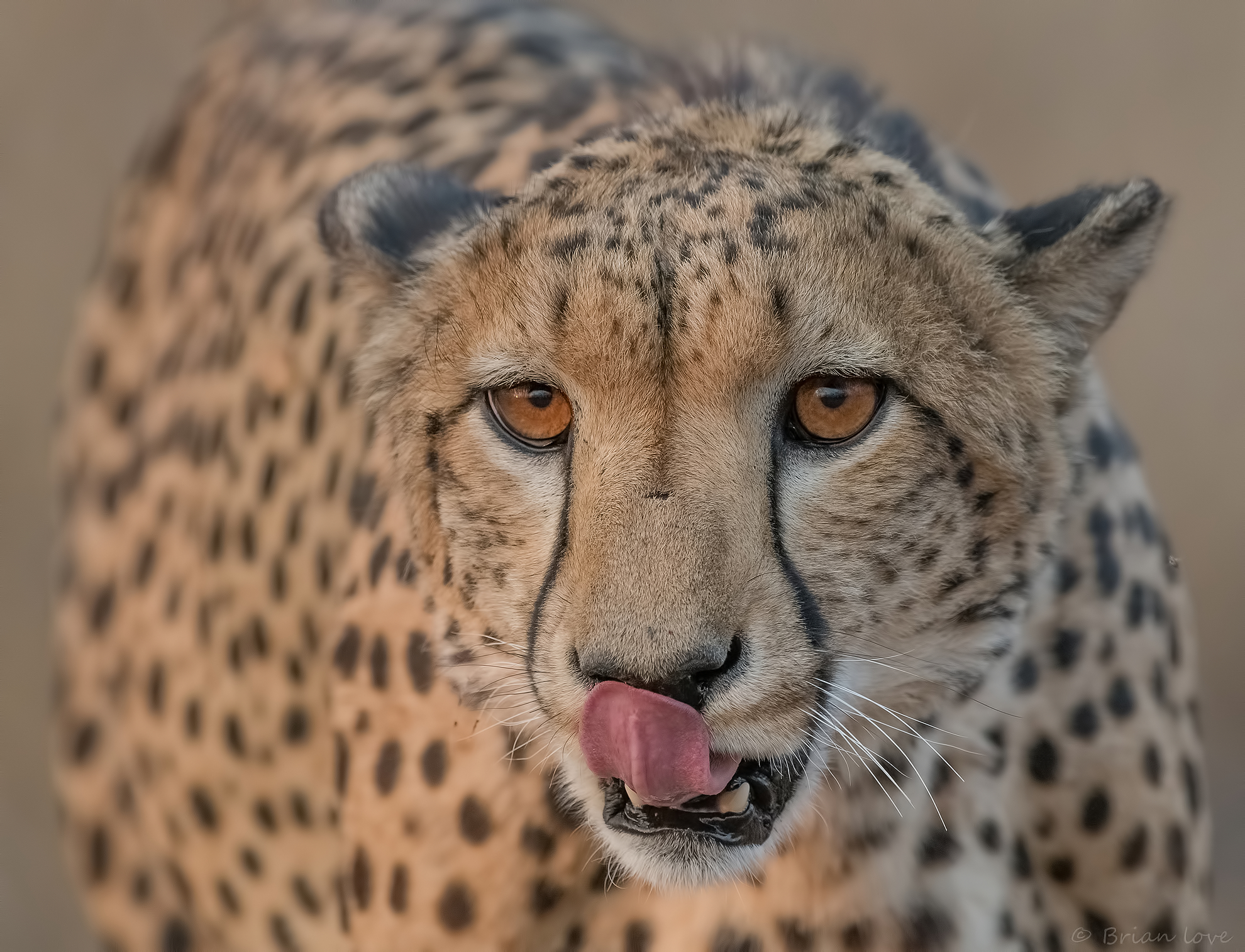 That Photographer Looks Tasty!