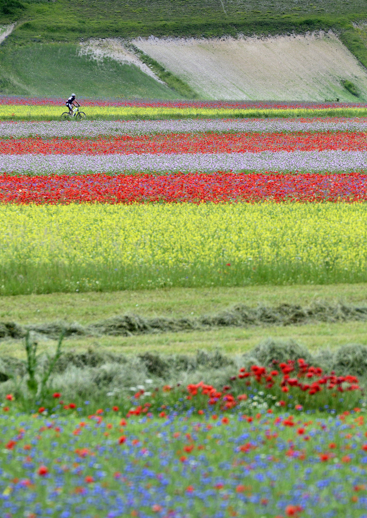 Castelluccio