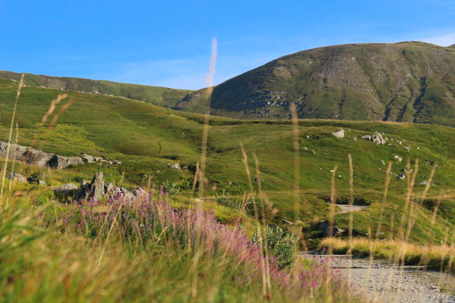 Le praterie dell'Appennino