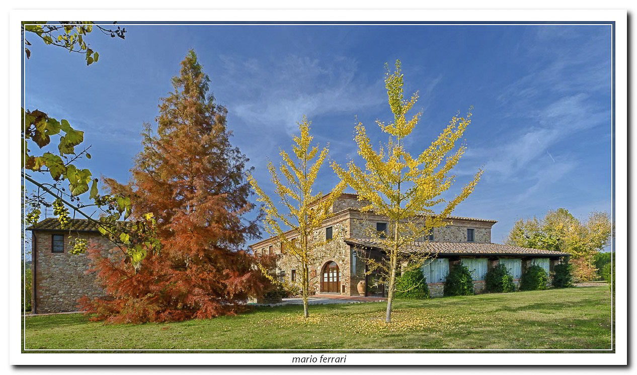 Novembre al Selvino 6